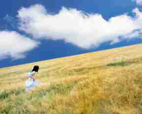 搜‌索‌引‍擎‍抓​取​查‍询​